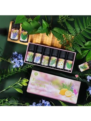 Aesco Mey Ithalat® 6'lı Ekonomi Karışık Set Esansiyel Uçucu Yağı Buhardanlık Difüzör Esansı Oda Kokusu