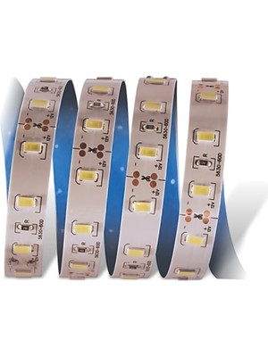 5 Metre Cata Ct 4537 Iç Mekan 12V 12 Çip Şerit LED  3200K Günışığı