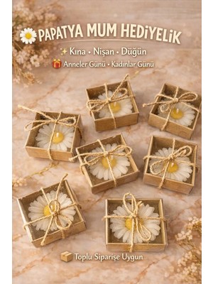 Shaymia Natural Kutulu Papatya Mum Hediyelik-Kına, Nişan, Düğün, Nikah, Anneler Günü-5 Adet-Shaymia Gifts