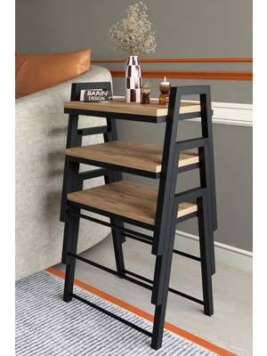 Barin Design 3'lü Iç Içe Geçmeli Dikdörtgen Zigon Sehpa, Salon Sehpası, Kahve Sehpası