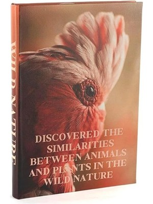 Mikasa Moor Wild Nature Kitap Kutu 35X24X3CM