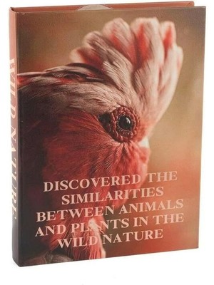 Mikasa Moor Wild Nature Kitap Kutu 28X22X4CM