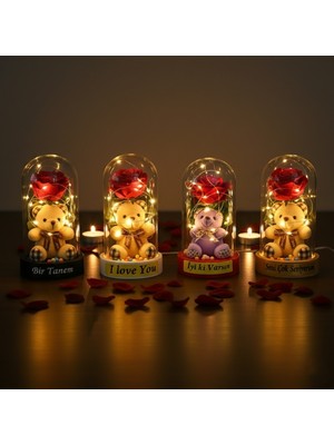 E-Bulurum Ayıcıklı Ledli Gül Fanus