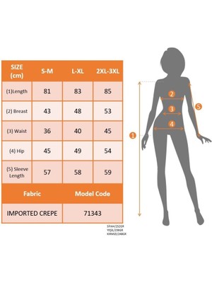 Gacha Kadın Uzun Kollu Kruvaze Yaka Mini Ithal Krep Elbise