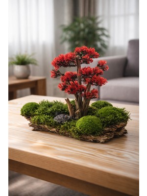 Decoroon El Yapımı Bonsai Masa Dekoru – Gerçek Şoklanmış Yosunlu & Ağaç Kabuklu Japandi Dekoratif Obje, Orta Sehpa & Ofis Dekoru