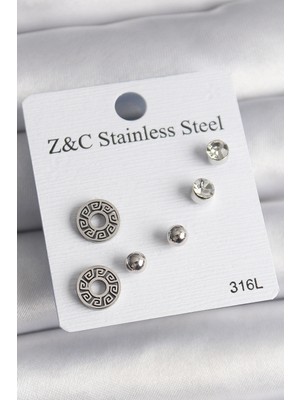 Balkan Grup 316L Çelik Gümüş Renk Zirkon Taşlı Labirent Model Kadın Küpe Seti