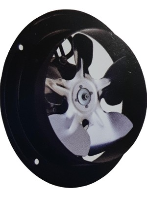 Fansan Aksiyel Duvar Tipi Aspiratör BA-350 40 W Güç 1100 M³/H Hava Debisi ile Yüksek Emiş Gücü