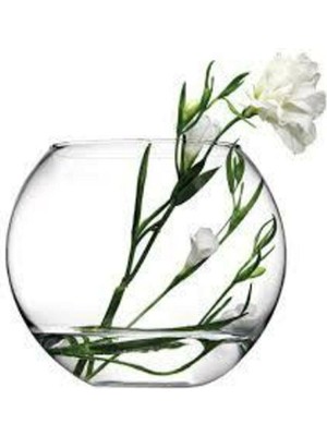 Paşabahçe Büyük Boy Cam Fanus Vazo Akvaryum 20-16 cm