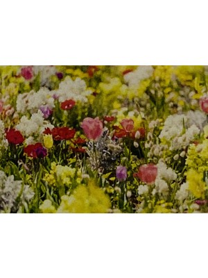 Elegantshop 5d Yapışan Boncuk Mozaik Tablo 30*40 cm XQH90650