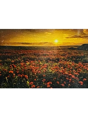 Elegantshop 5d Yapışan Boncuk Mozaik Tablo 30*40 cm XQH90706