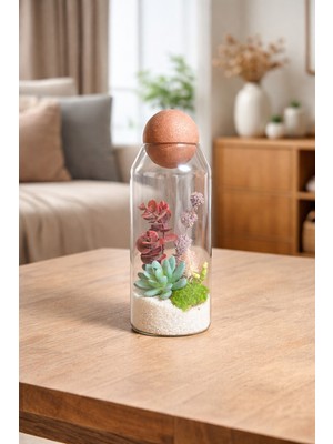 Decoroon Küre Kapaklı Cam Teraryum Fanus – El Yapımı Doğal Yosunlu Masaüstü Dekoratif Obje & Hediye (Farklı Model Seçenekli) 20 cm