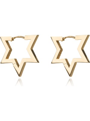 Berk Mücevherat 14 Ayar Altın Yıldız Küpe