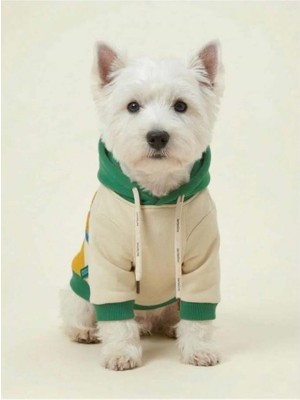 United Colors Of Benetton BNT-S2510 Kapişonlu Sweatshirt Sarı Xxl