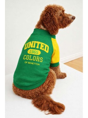 United Colors Of Benetton BNT-S2504 Sweatshirt Yeşil S