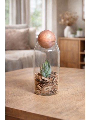 Decoroon Mini Cam Teraryum Fanus – El Yapımı Doğal Sukulent Masaüstü Dekoratif Obje & Hediye (Farklı Model Seçenekli) 15 cm