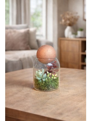 Decoroon Mini Cam Fanus Teraryum Dekor 10 cm – El Yapımı Masaüstü Bitki Tasarımı, Modern Ev Ofis Süs Vazo