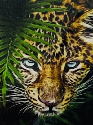 Elegantshop 5d Yapışan Boncuk Mozaik Tablo 30*40 cm YZSX14