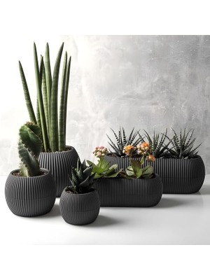 Saksı Setleri (5, Gri)