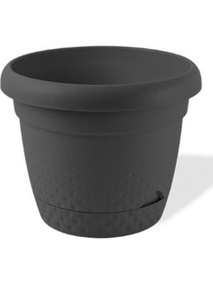 Aydogan's Inci  Saksı 3 No ROYALEKS-KRS-343