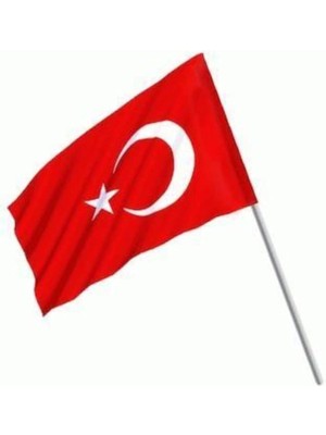 1 Adet 20 x 30 Raşel Sopalı Ayyıldız Bayrak - Türk Bayrağı