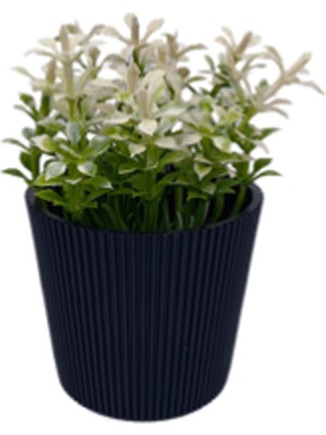 Aydogan's Çizgili Yuvarlak Saksı Çiçek ROYALEKS-5706