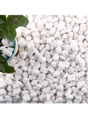 Dolomit Taş 15 kg 1-2 cm Beyaz Dolomit Taş Saksı Dibi Dekoratif Taş Teraryum Taşı Bahçe Taşı