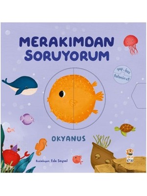 Merakımdan Soruyorum - Okyanus
