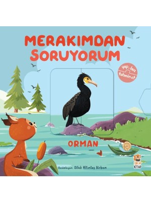 Bucuks Merakımdan Soruyorum - Orman