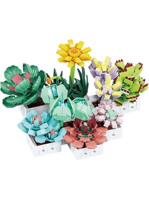 Epilons Blx Sukulent Çiçek Buketi 8842