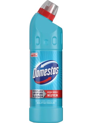 Domestos Yoğun Kıvamlı Çamaşır Suyu Okaliptüs Ferahlığı 750 ml