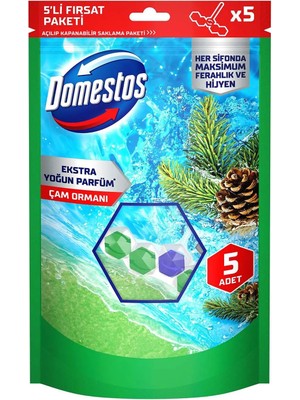 Domestos Tuvalet Bloğu Çam Ormanı 5'Li Güç 250 G