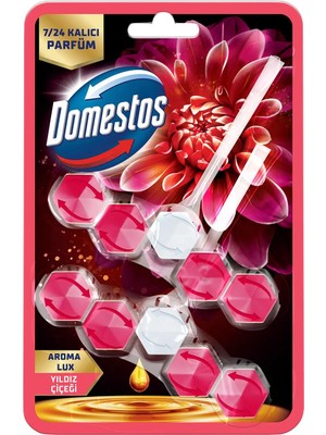 Domestos Aroma Lux Tuvalet Bloğu Yıldız Çiçeği 100g