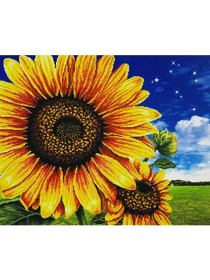 Elegantshop 5d Yapışan Boncuk Mozaik Tablo 30*40 cm PNXX01