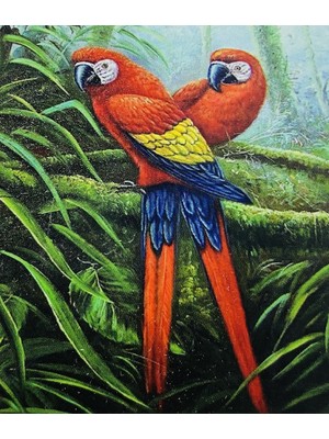 Elegantshop 5d Yapışan Boncuk Mozaik Tablo 30*40 cm PNXX02