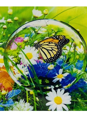 Elegantshop 5d Yapışan Boncuk Mozaik Tablo 40*50 cm H5X02