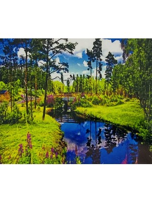 Elegantshop 5d Yapışan Boncuk Mozaik Tablo 40*50 cm H5X11