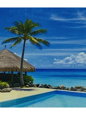 Elegantshop 5d Yapışan Boncuk Mozaik Tablo 40*50 cm H5X07