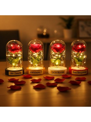 Ethab Ticaret Incili Ledli Gül Fanus