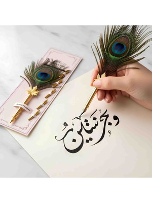 Wolawood Meşk Serisi Hakiki Tavus Kuşu Tüyü 5'li Yedek Uç Kalem Hat Sanatı Divit Kaligrafi Seti Tüylü Kalem Takımı