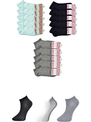 Siyah Gri ve Beyaz Kadın Bilek Çorap 15 Çift