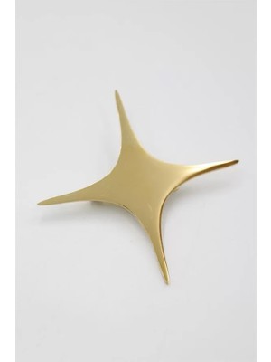 Çelik Yıldız Broş - Altın