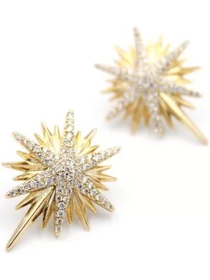 Kuzey Yıldızı Küpe - Rose