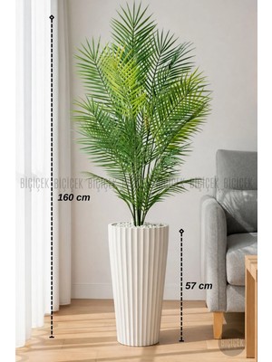 Biçiçek 160 CM AREKA AĞACI 24 YAPRAKLI BEYAZ LİLYUM SAKSIDA