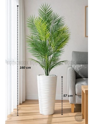 Biçiçek 160 CM AREKA AĞACI 24 YAPRAKLI BEYAZ KUMSAL SAKSIDA