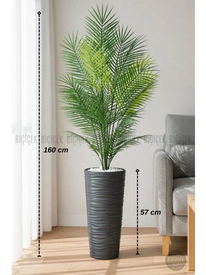 Biçiçek 160 CM AREKA AĞACI 24 YAPRAKLI ANTRESİT KUMSAL SAKSIDA