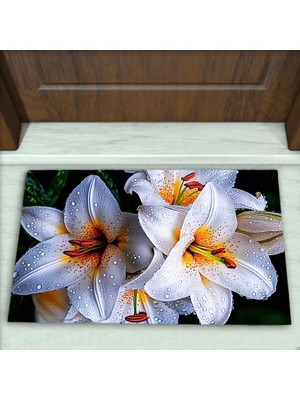 Colorix Carpet Çiçek Desenli Dekoratif Kapı Önü Paspası No: 2713