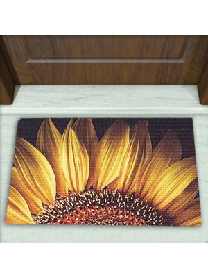 Colorix Carpet Çiçek Desenli Dekoratif Kapı Önü Paspası No: 2160