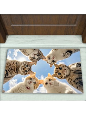 Colorix Carpet Kedi Desenli Dekoratif Kapı Önü Paspası No: 2715