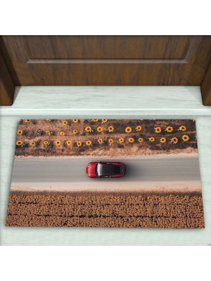 Colorix Carpet Yol Desenli Dekoratif Kapı Önü Paspası No: 2140