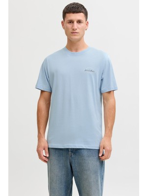 Jack & Jones Jjbrandon Bisiklet Yaka Kısa Kollu Erkek T-Shirt